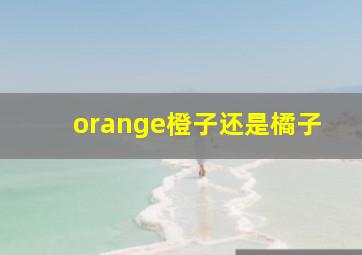 orange橙子还是橘子