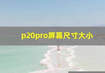 p20pro屏幕尺寸大小