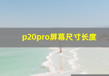 p20pro屏幕尺寸长度