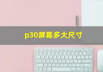 p30屏幕多大尺寸