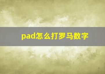 pad怎么打罗马数字