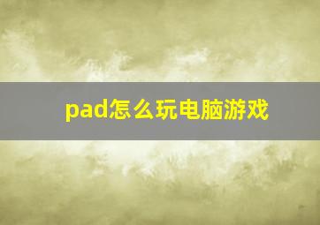 pad怎么玩电脑游戏