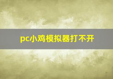 pc小鸡模拟器打不开