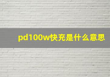 pd100w快充是什么意思