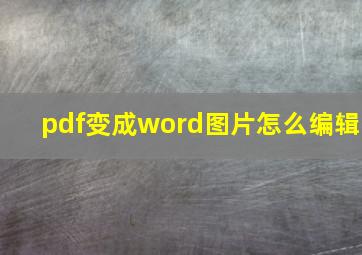 pdf变成word图片怎么编辑