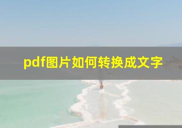 pdf图片如何转换成文字