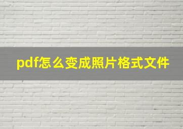 pdf怎么变成照片格式文件