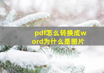 pdf怎么转换成word为什么是图片