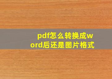 pdf怎么转换成word后还是图片格式