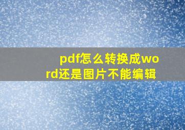 pdf怎么转换成word还是图片不能编辑