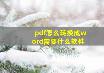 pdf怎么转换成word需要什么软件