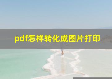 pdf怎样转化成图片打印