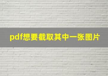 pdf想要截取其中一张图片