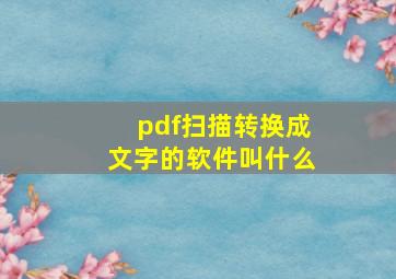 pdf扫描转换成文字的软件叫什么