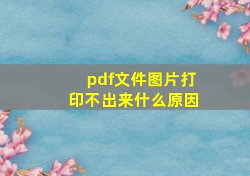 pdf文件图片打印不出来什么原因