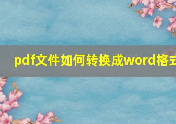 pdf文件如何转换成word格式