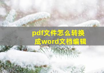 pdf文件怎么转换成word文档编辑