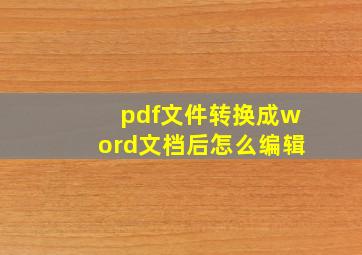 pdf文件转换成word文档后怎么编辑