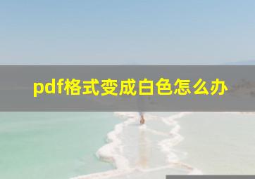 pdf格式变成白色怎么办