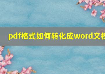 pdf格式如何转化成word文档