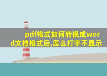 pdf格式如何转换成word文档格式后,怎么打字不显示