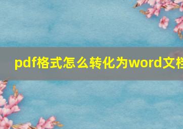 pdf格式怎么转化为word文档