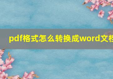 pdf格式怎么转换成word文档