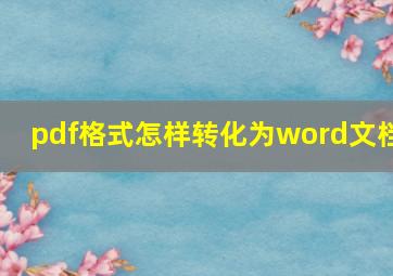 pdf格式怎样转化为word文档