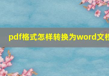 pdf格式怎样转换为word文档