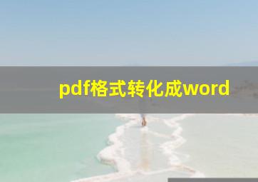 pdf格式转化成word