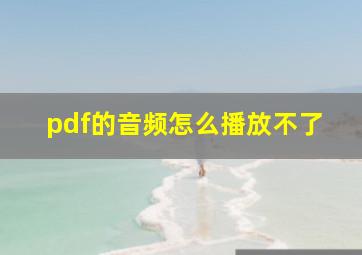 pdf的音频怎么播放不了