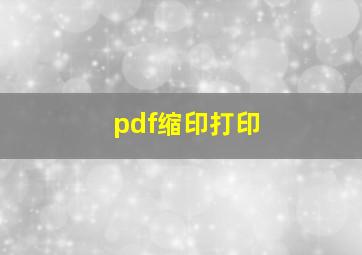 pdf缩印打印