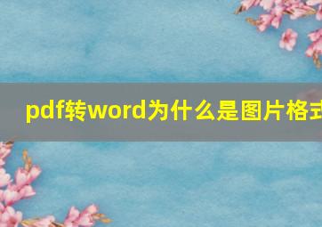 pdf转word为什么是图片格式