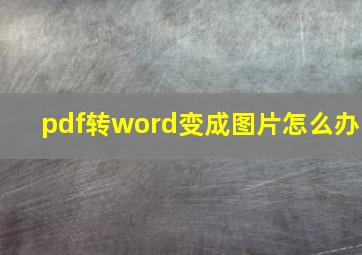 pdf转word变成图片怎么办