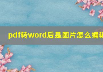 pdf转word后是图片怎么编辑