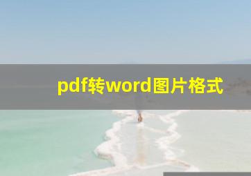 pdf转word图片格式