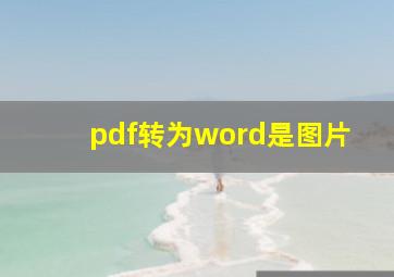 pdf转为word是图片