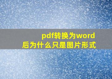 pdf转换为word后为什么只是图片形式