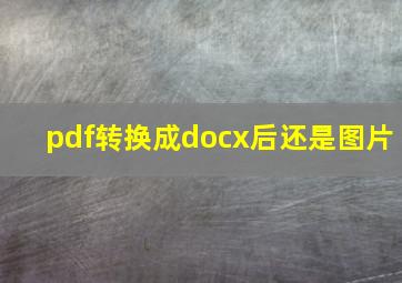 pdf转换成docx后还是图片