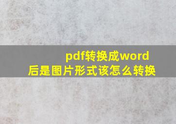 pdf转换成word后是图片形式该怎么转换