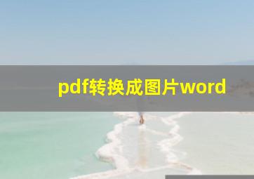 pdf转换成图片word