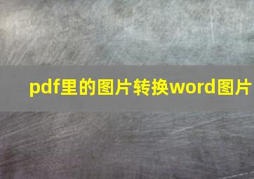 pdf里的图片转换word图片