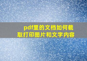 pdf里的文档如何截取打印图片和文字内容