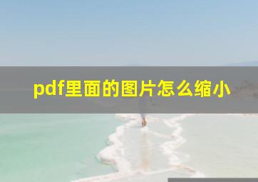 pdf里面的图片怎么缩小