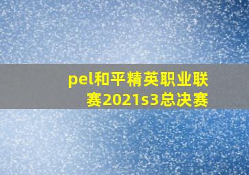 pel和平精英职业联赛2021s3总决赛