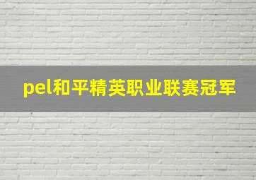 pel和平精英职业联赛冠军