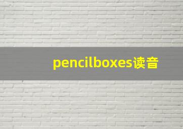 pencilboxes读音