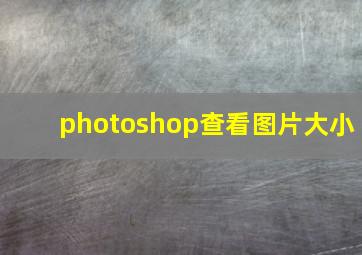 photoshop查看图片大小