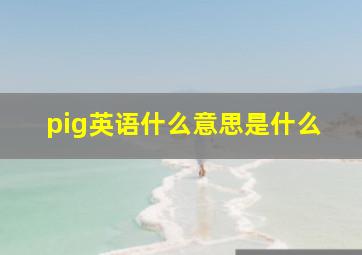 pig英语什么意思是什么