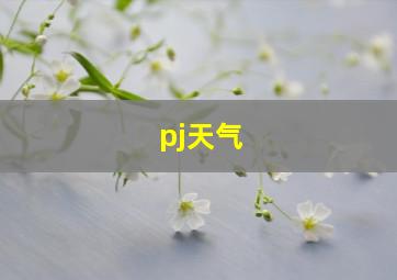 pj天气